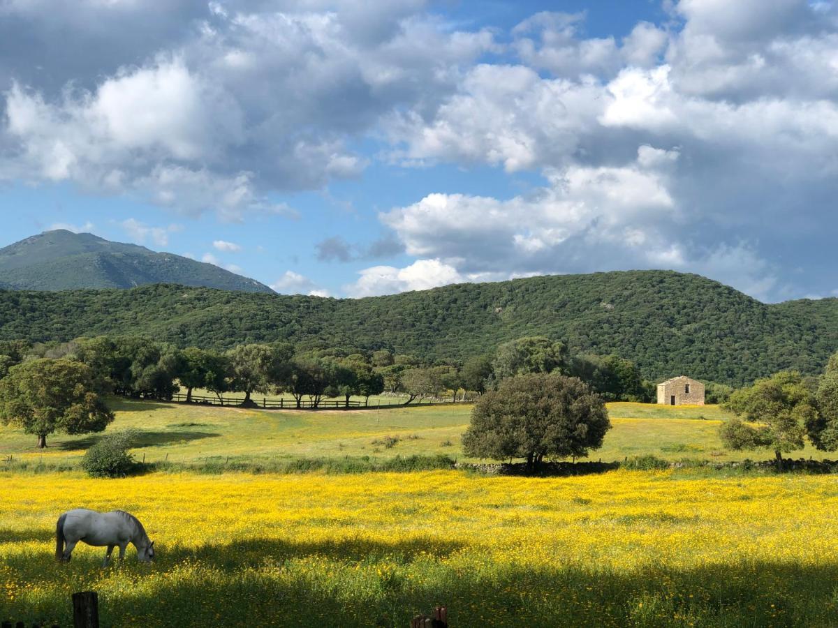 Camping Olva *** Sartène Εξωτερικό φωτογραφία